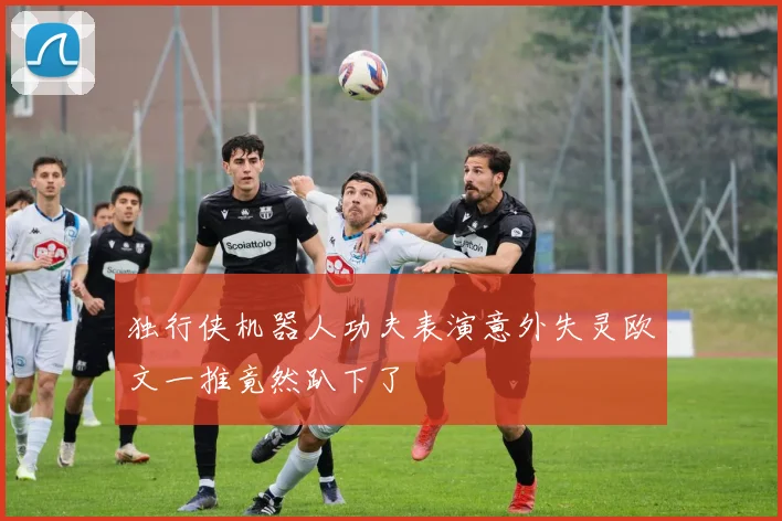 独行侠机器人功夫表演意外失灵欧文一推竟然趴下了
