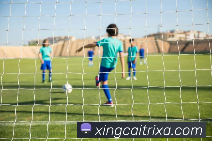 杏彩体育服务体系